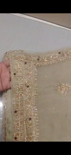 Embroidered outfit (Faiza Saqlain)